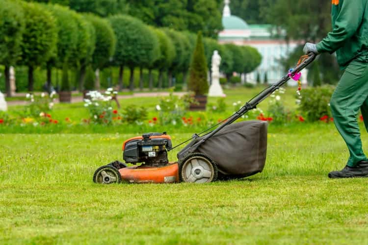 How to Choose the Right Grass Mower for Your Lawn