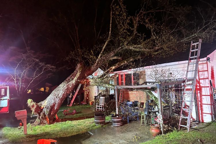 The Critical First 24 Hours After Storm Damage