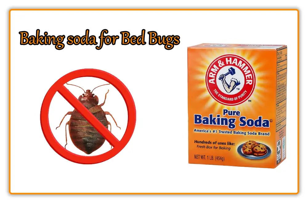 Baking soda for Bed Bugs
