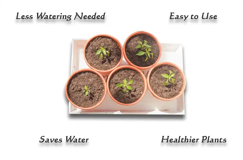 Benefits of Using Self Watering Planters
