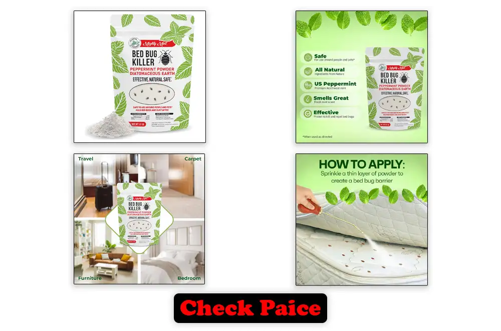 Best Diatomaceous Earth for Bed Bugs