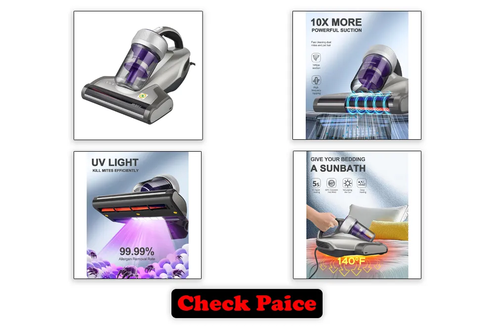 Best Vacuum for Bed Bugs