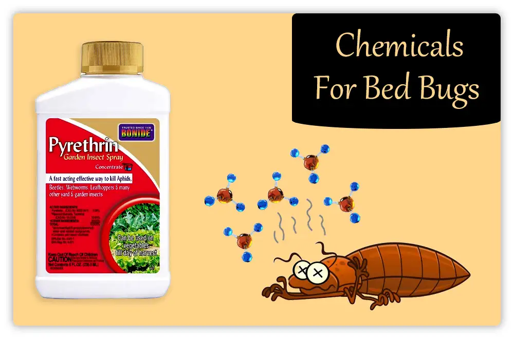 Chemicals-for-Bed-Bugs