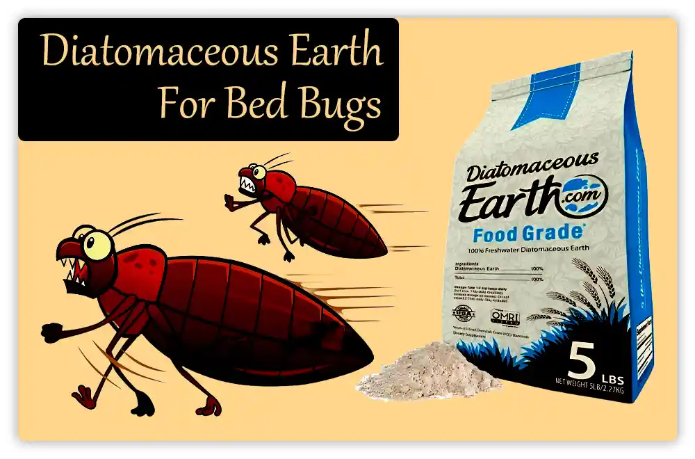 Diatomaceous Earth for Bed Bugs