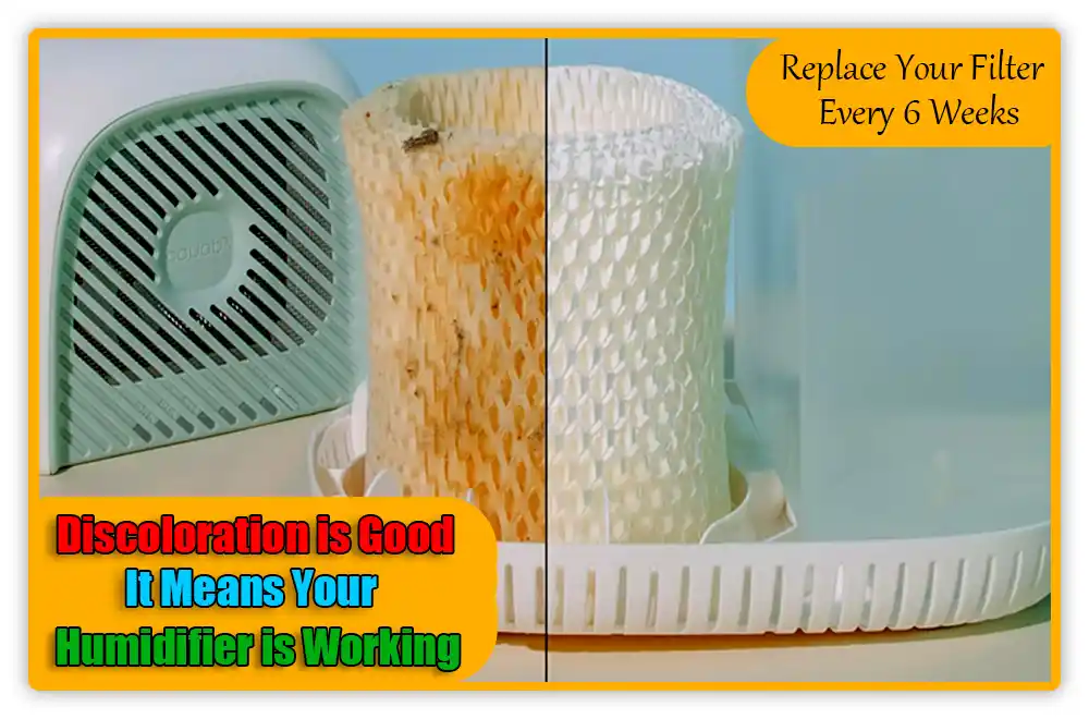 Eco-Friendly Filter of Canopy Humidifier