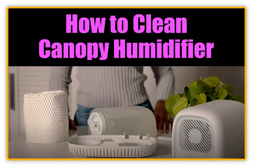 How to Clean Canopy Humidifier