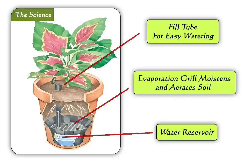 How to Make Self Watering Planters