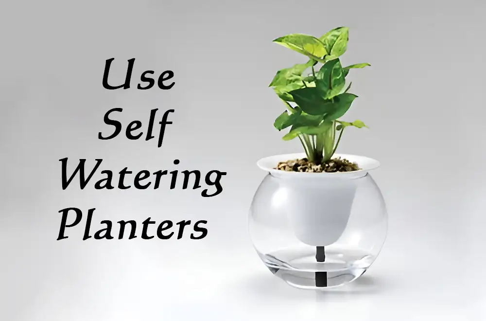 How to Use Self Watering Planters Effectively