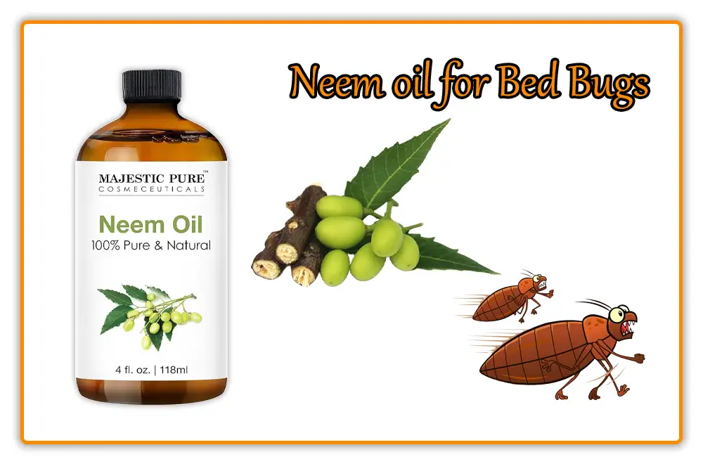 Neem oil for Bed Bugs