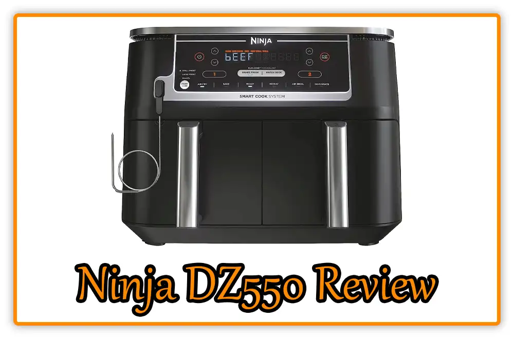 Ninja DZ550 Review 1 Ninja DZ550 Review