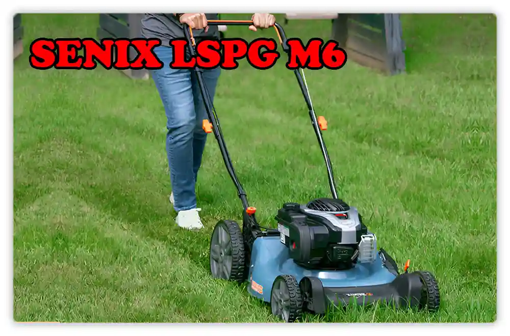 SENIX LSPG M6 Review SENIX LSPG M6 Review