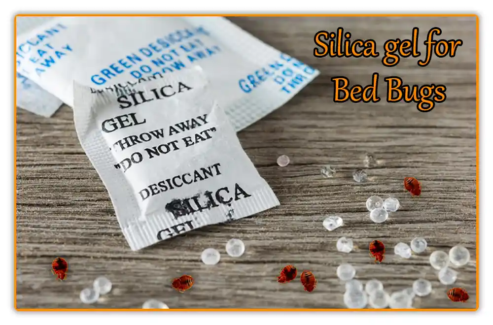 Silica gel for Bed Bugs