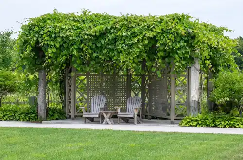 What is a Louvered Pergola?