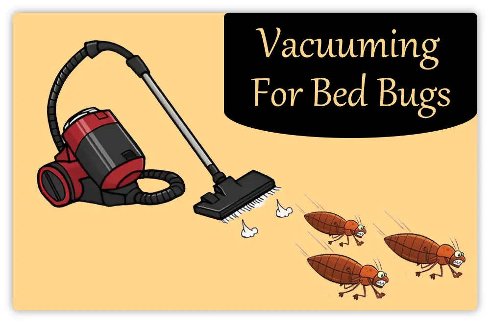 Vacuuming for Bed Bugs